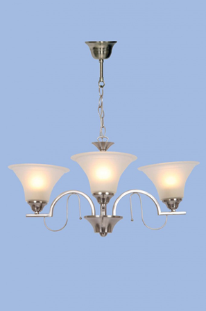 Light image holder
